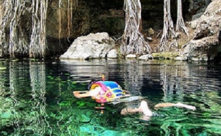  Subarques de baleia no caribean 